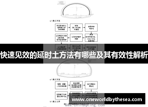 快速见效的延时土方法有哪些及其有效性解析